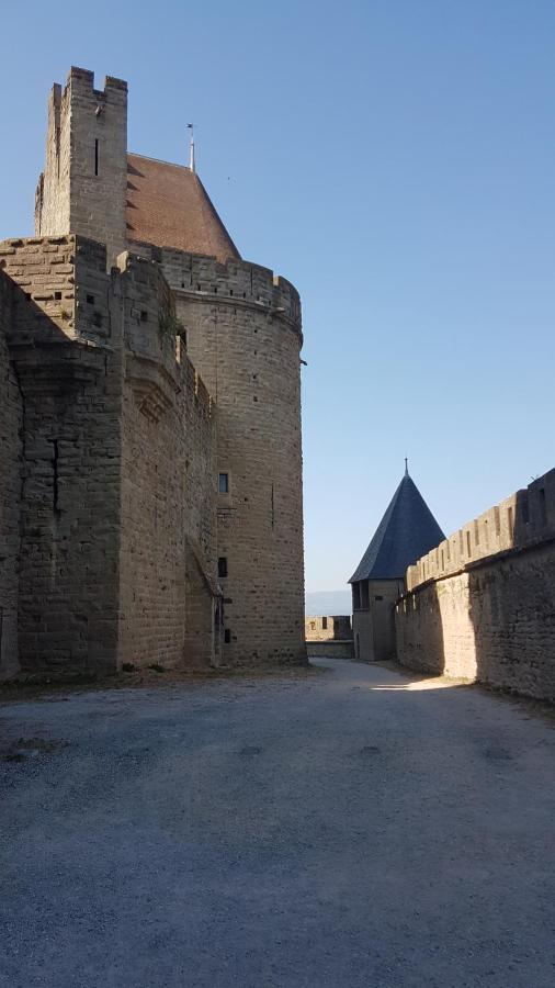 Maison Vue Cite 1 Villa Carcassonne Bagian luar foto