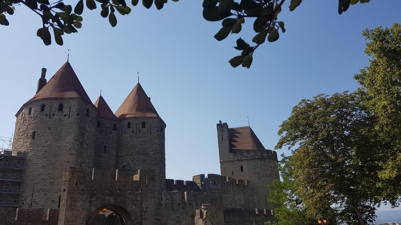 Maison Vue Cite 1 Villa Carcassonne Bagian luar foto