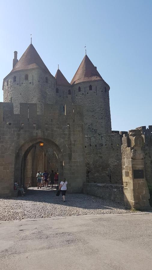 Maison Vue Cite 1 Villa Carcassonne Bagian luar foto